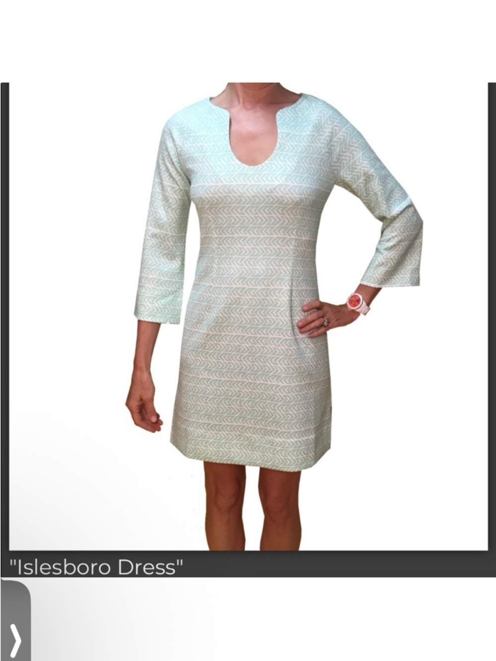 NWT CK BRADLEY Islesboro Light Mint Patterned Shift Dress sz. M